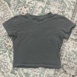Brandy Melville Gray Crop